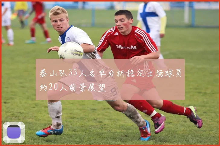 泰山队33人名单分析稳定出场球员约20人前景展望