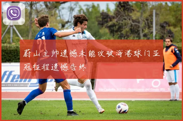 蔚山主帅遗憾未能攻破海港球门亚冠征程遗憾告终