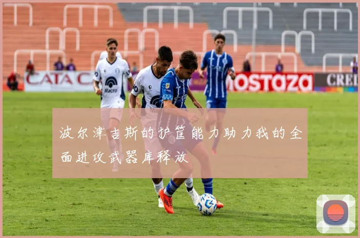 波尔津吉斯的护筐能力助力我的全面进攻武器库释放