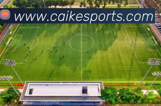 莱斯科特建议阿森纳引进埃基蒂克或佩德罗埃泽尚未找到最佳状态